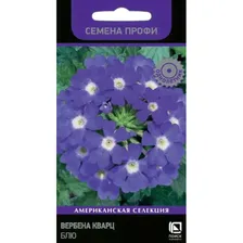 Семена Вербена Кварц Блю 10, Поиск